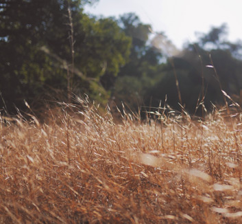 哈登受伤退场，篮网不敌雄鹿：一场让人难以忘怀的篮球对决